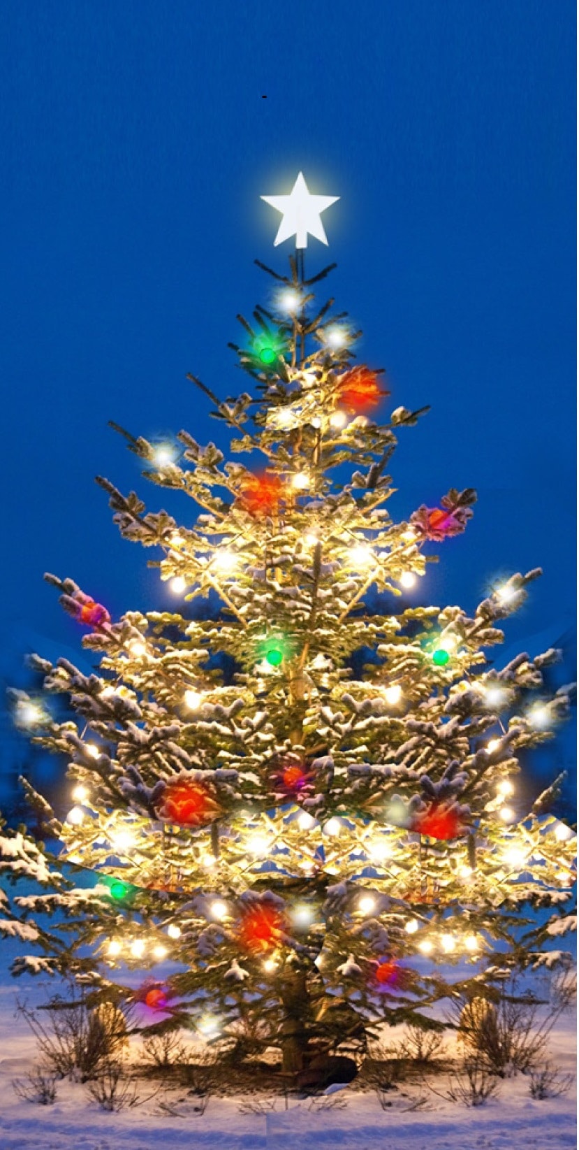 POZVÁNKA: Rozsvícení vánoční stromu