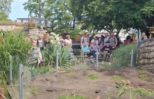 Výlet do ZOO Hluboká nad Vltavou